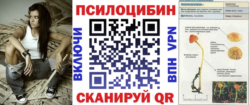 Галлюциногенные грибы Cubensis  купить  сайты  Ахтубинск 