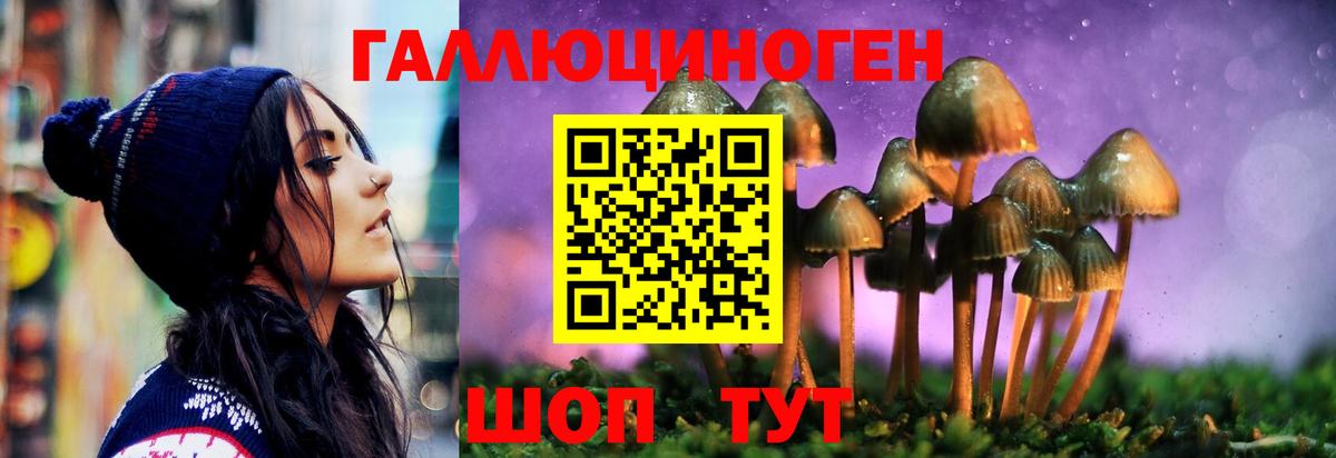 Псилоцибиновые грибы Magic Shrooms  Псилоцибиновые грибы прущие грибы  Вход с VPN  Ахтубинск 