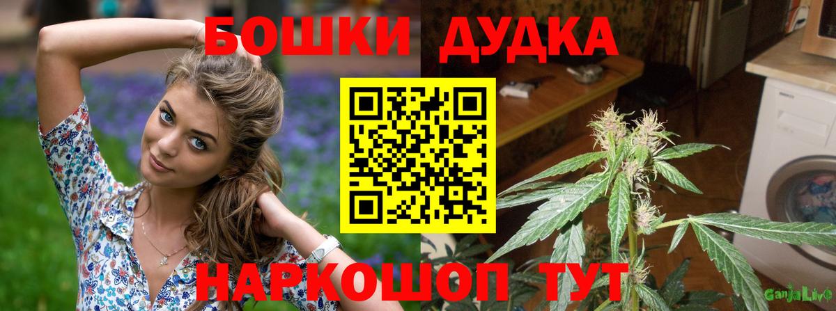 Конопля THC 21% Ахтубинск